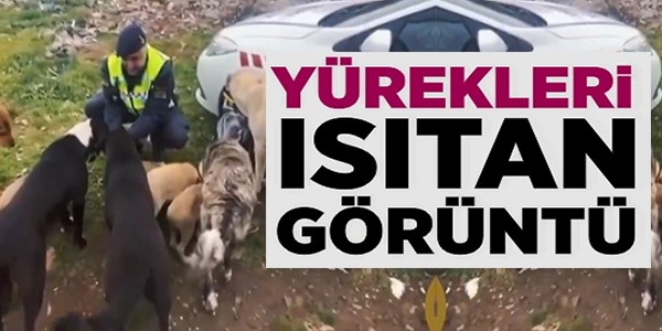 YÜREKLERİ ISITAN GÖRÜNTÜ