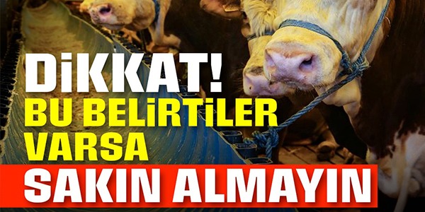 DİKKAT BU BELİRTİLER VARSA SAKIN ALMAYIN