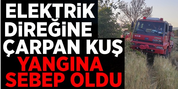 ELEKTRİK DİREĞİNE ÇARPAN KUŞ YANGINA NEDEN OLDU