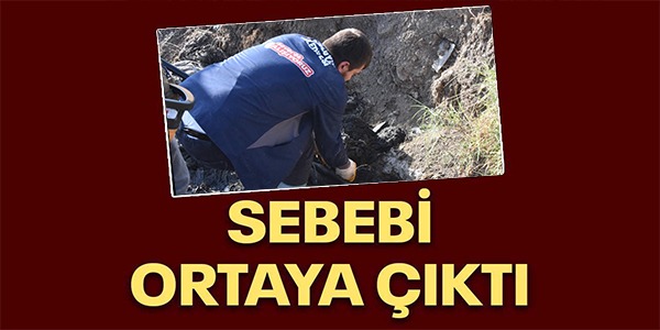 SEBEBİ ORTAYA ÇIKTI