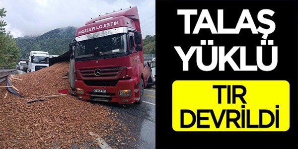 TALAŞ YÜKLÜ TIR DEVRİLDİ!