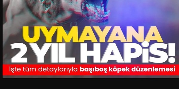 UYMAYANA 2 YIL HAPİS