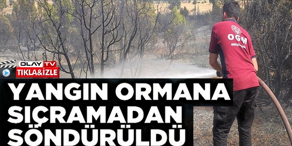 YANGIN ORMANA SIÇRAMADAN SÖNDÜRÜLDÜ