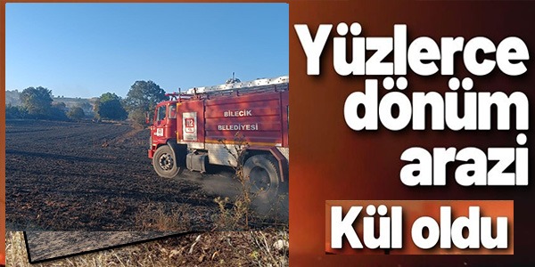 YÜZLERCE DÖNÜM ARAZİ KÜL OLDU