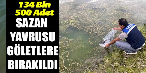 134 BİN 500 ADET SAZAN YAVRUSU GÖLETLERE BIRAKILDI