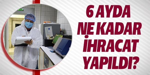 6 AYDA NE KADAR İHRACAT YAPILDI?