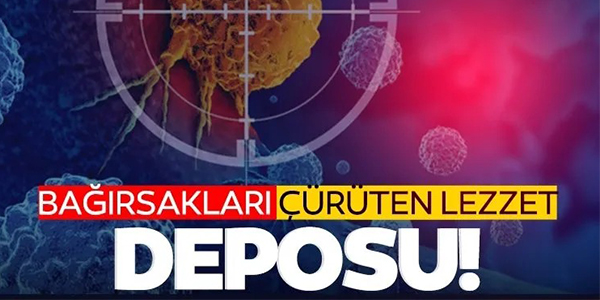 BAĞIRSAKLARI ÇÜRÜTEN LEZZET DEPOSU