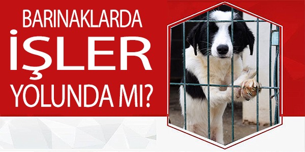 BARINAKLARDA İŞLER YOLUNDA MI?