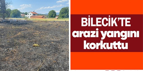 BİLECİK'TE ARAZİ YANGINI!