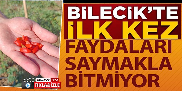 BİLECİK'TE İLK KEZ!