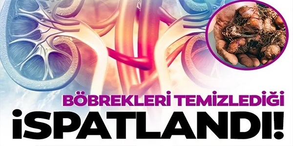 BÖBREKLERİ TEMİZLEDİĞİ İSPATLANDI