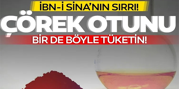 ÇÖREK OTUNU BİR DE BÖYLE TÜKETİN