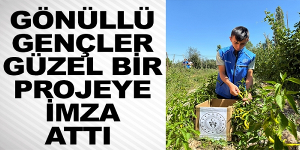 GÖNÜLLÜ GENÇLER GÜZEL BİR PROJEYE İMZA ATTI