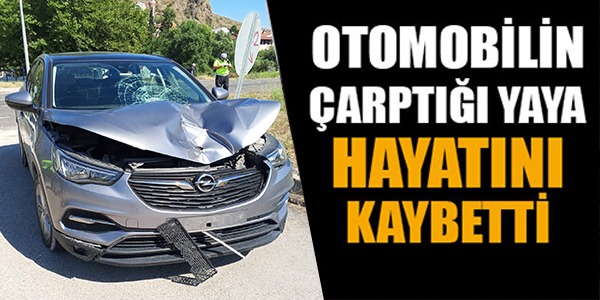 OTOMOBİLİN ÇARPTIĞI YAYA HAYATINI KAYBETTİ