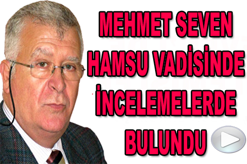 MEHMET SEVEN HAMSU VADİSİNDE İNCEMELERDE BULUNDU