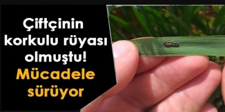 ÇİFTÇİNİN KORKULU RÜYASI!