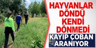 HAYVANLAR DÖNDÜ KENDİ DÖNMEDİ