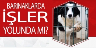 BARINAKLARDA İŞLER YOLUNDA MI?