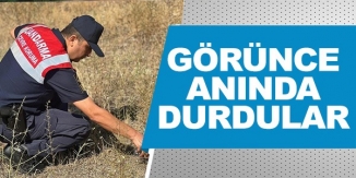 GÖRÜNCE ANINDA DURDULAR