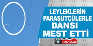 LEYLEKLERİN PARAŞÜTÇÜLERLE DANSI MEST ETTİ