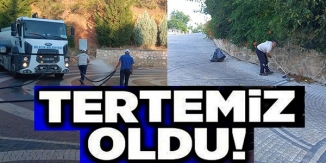 TERTEMİZ OLDU!