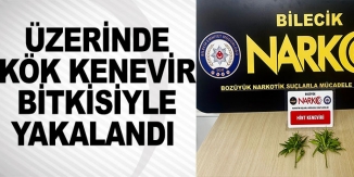 ÜZERİNDE KÖK KENEVİR BİTKİSİYLE YAKALANDI