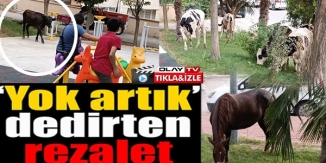 YOK ARTIK DEDİRTEN REZALET